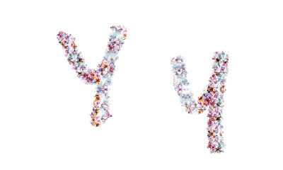 Flower alphabet. Colorful font. Uppercase, lowercase and numbers.