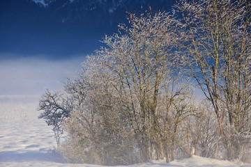 Winterlandschaft kalt