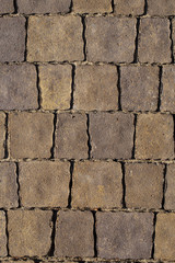 Closeup view of brown sidewalk in city park. Vertical color photography.