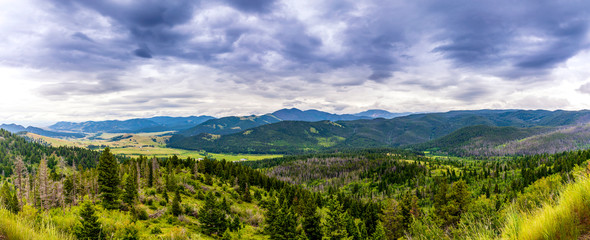 Panorama of Mountain Pass and Forest