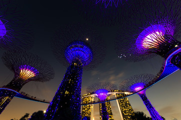 gardens by the bay - singapore