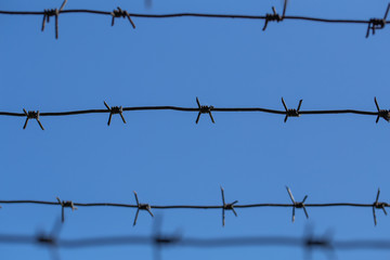 Dangerous sharp metal barbed wires isooated on blue sky background. Horizontal color photography.