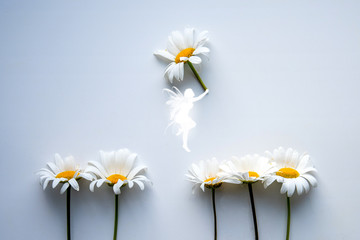 daisies on blue background