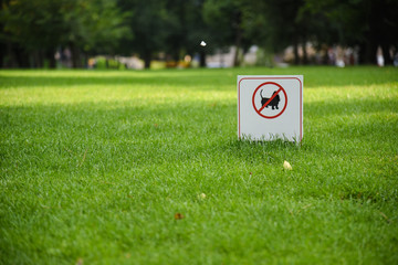 dog walking board is forbidden