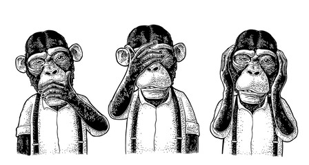 Three wise monkeys. Not see, not hear, not speak. Vintage engraving © MoreVector