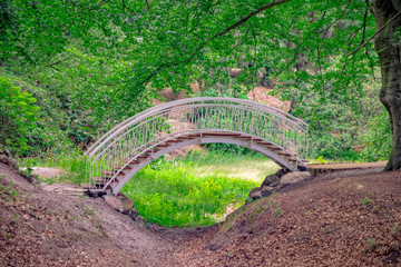 Bridge, Azalea and Rhododendron Park in Kromlau