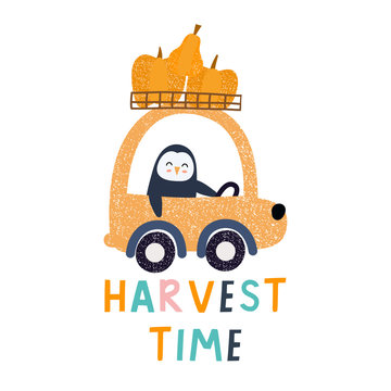Harvest time lettering, penguin driving a car. Concept of trips. Vector prints.Illustration  for poster, card, label, banner, flyer, baby wear, kids room decoration. 