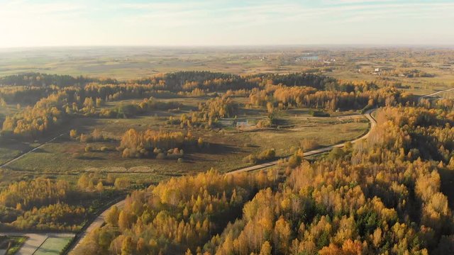 Bird's-eye view of a car moving accross autumn forest