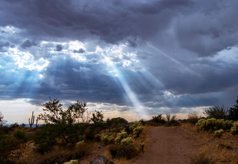 Sun Beams Shining On Desert Hiking Trail