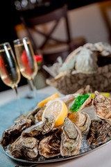 oysters and seafood with wine