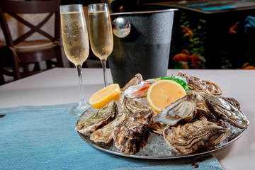 oysters and seafood with wine