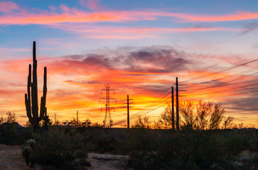 Obraz premium Cactus Silhouette And Power Lines At Sunrise