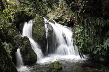 kleiner Wasserfall im Regenwald