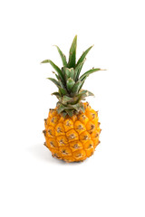 Baby pineapple on a white background. Fresh small pineapple close-up on a white background.