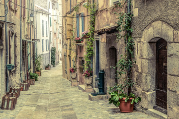 Old pitoresque street in the village Entrevaux in France