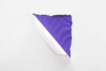 white torn and rolled paper on colorful textured purple background