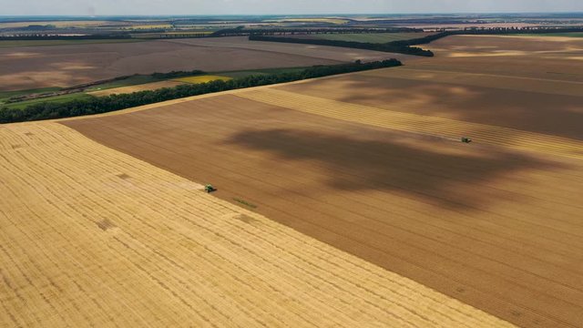 4k Aerial video view from a height, fields with ripe gold-colored wheat