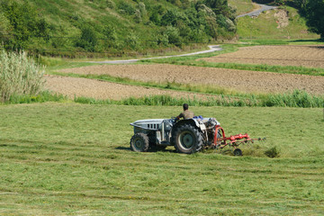 Fototapeta premium Drying grass, farmer and tractor.