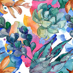 Succulents floral botanical flowers. Watercolor background illustration set. Seamless background pattern.