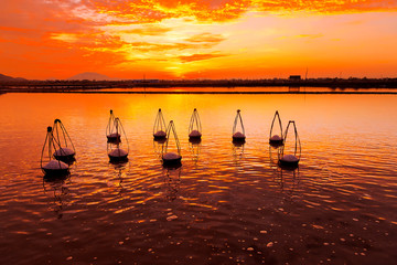 freshly harvested salts loaded in baskets by workers in the Hon Khoi salt field at sunrise, Nha Trang Province, Vietnam