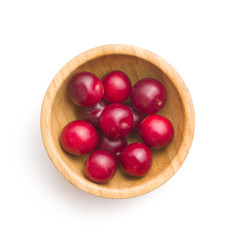 The red cherry plums fruit.