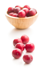 The red cherry plums fruit.