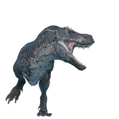 tyrannosaurus