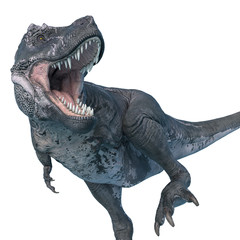 tyrannosaurus rex angry walk © DM7