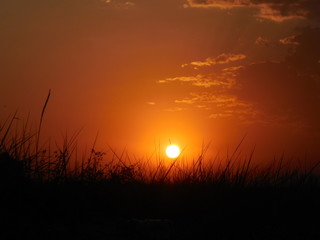 Sunrise