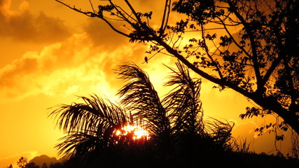 Carribean sunset