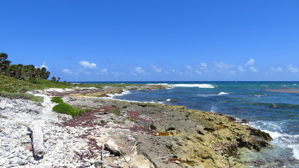 Mexico Coast
