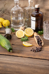 Gin mit früchten und Gurke