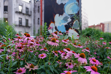 Fototapeta na wymiar View of the High Line in Manhattan Summer