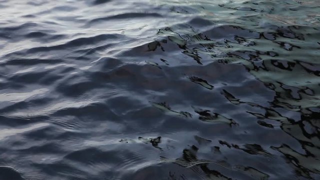 Close-up of dark water at the meeting of Rio Negro and Amazon River flowing  small waves, reflections and textures in the Amazon. Concept of environment, conservation, natural resources and nature.