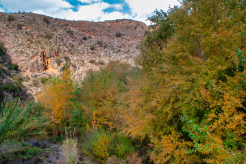Rio Darrical en otoño