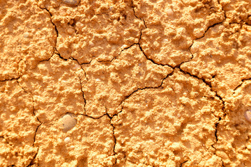 Dry mud, with cracks caused by summer drought, background.