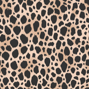 Cheetah seamless pattern. Animal print