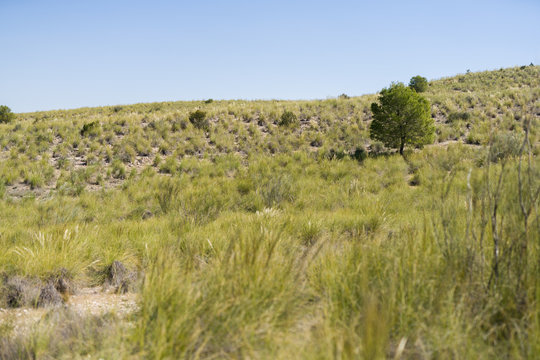 Beautiful alpine landscape, green mountain enviroment and blue sky in a sunny day