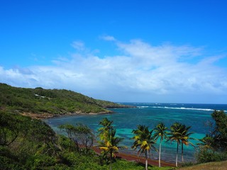 island in the sea blue water paradise place Martinique and palm trees