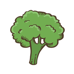 Broccoli hand drawn illustration vector isolated. Broccoli Icon.