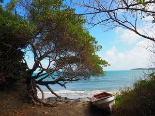 Naklejka na ściany i meble old wooden boat on the sea Martinique