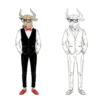Ox gentleman dressed up in classy style. Anthropomorphic Animal zodiac sign character. Chinese New Year
