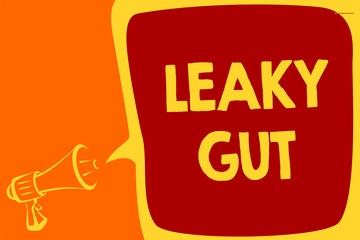 Handwriting text Leaky Gut. Concept meaning A condition in which the lining of small intestine is damaged Megaphone loudspeaker speech bubble important message speaking out loud