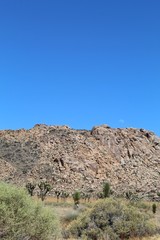 Much of the Little San Bernardo range is within the Southern Mojave Desert section of Joshua Tree National Park. The formations have been habitat for native ecology since time beyond human memory.