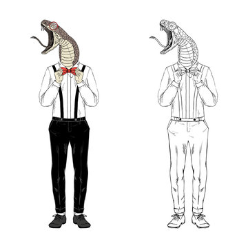 Snake gentleman dressed up inclassy style. Anthropomorphic Animal zodiac sign character. Chinese New Year