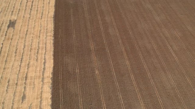 4k Aerial video view from a height, fields with ripe gold-colored wheat