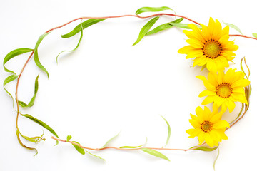 bright summer mockup of sunflowers    on a white background