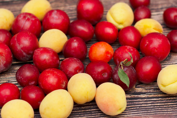 Autumn red and yellow plum scattered on a wooden background.
