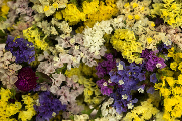 Limonium - many colorful flowers in a bouquet. Yellow, white, blue and pink dried flowers flowers, background