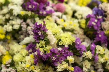 Limonium - many colorful flowers in a bouquet. Yellow, white, blue and pink dried flowers flowers, background